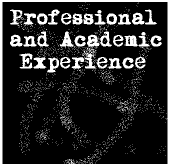 Professional and Academic Experience